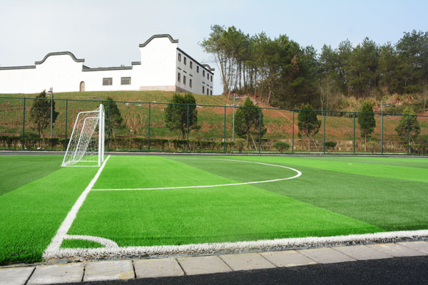 DSC_7050b.jpg