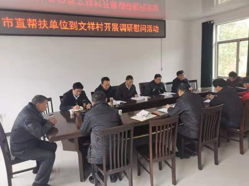 1.13文祥村调研座谈.png